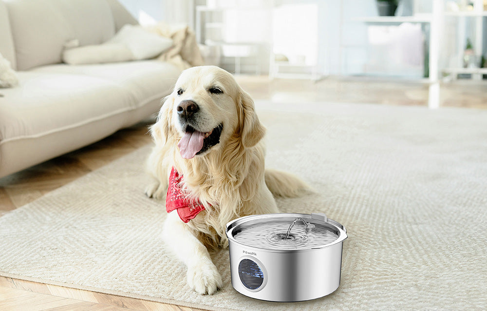 A golden retriever with a red bandana relaxes next to a stylish Large Dog Water Fountain by PawsPik in a bright, modern living room.