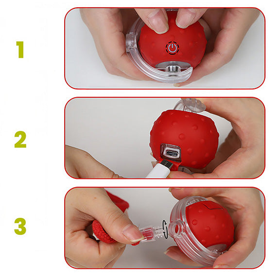 Instructions for starting the PawsPik interactive cat toy: Turning it on, charging via USB-C, and attaching a rope. Text in bold blue and light green.