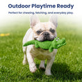 Load image into Gallery viewer, PawsPik® Crocodile Natural Rubber Dog Chew Toy