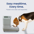 Load image into Gallery viewer, A beagle dog eating from a modern auto dog feeder, with the text "Easy mealtime, Every time" above it. Pet Feeder and collar sold separately.