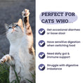 Load image into Gallery viewer, Artisanal Paws™ Digestive Probiotic & Prebiotic Blend Powder Supplement for Cats, 3.8-oz