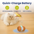 Load image into Gallery viewer, PawsPik® Feather Tail Rechargeable Spinner Chasers Cat Toy