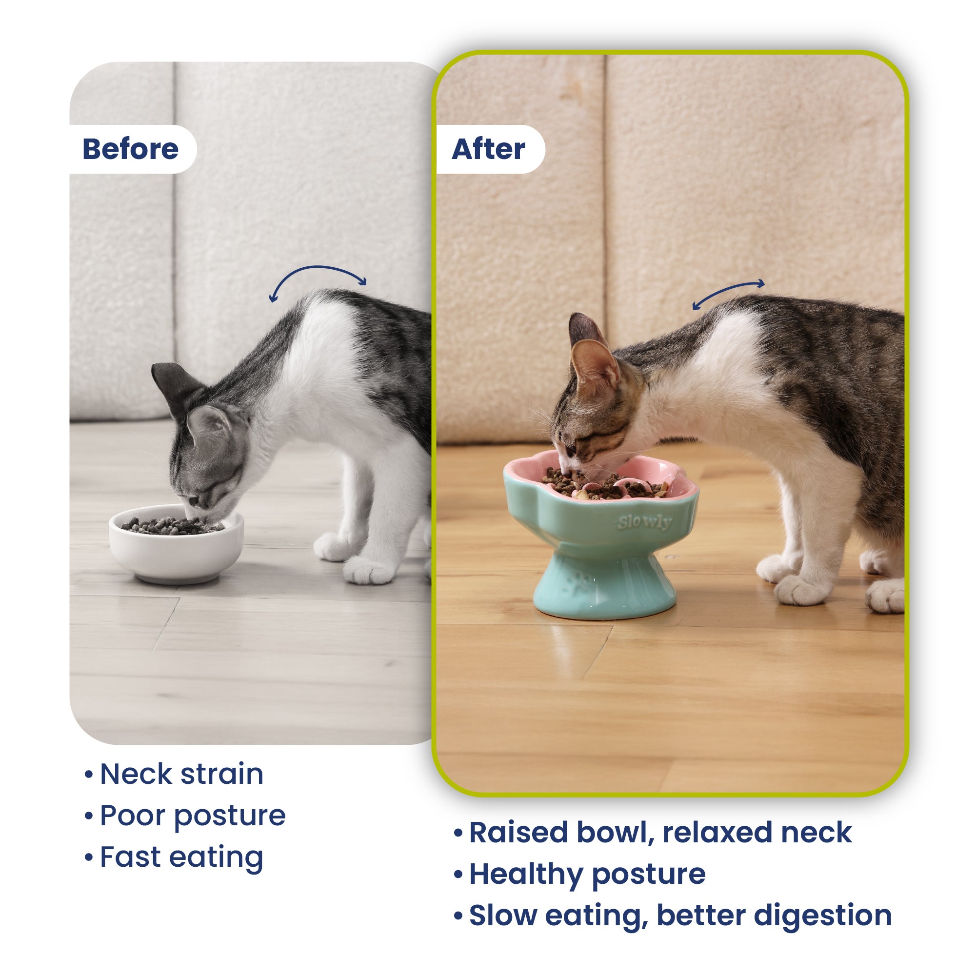 PawsPik Raised Ceramic Slow Feeder Dog & Cat Food Bowl