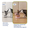 Load image into Gallery viewer, PawsPik® Lynx Ceramic Raised Slow Food Bowl