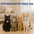 Load image into Gallery viewer, Four cats of different breeds sit together, each wearing a colorful Cat Feeder tag collar, in a bright living room with a couch and curtains.