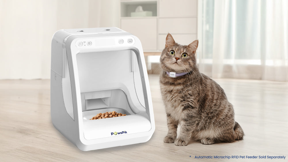 A tabby cat sits near PawsPik Microchip Cat Feeder.