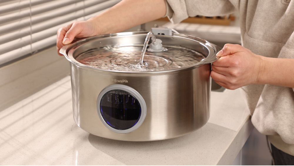 A person holds PawsPik Dog Water Fountain with water, equipped with a water level window, in a kitchen setting. Steam rises from the surface.