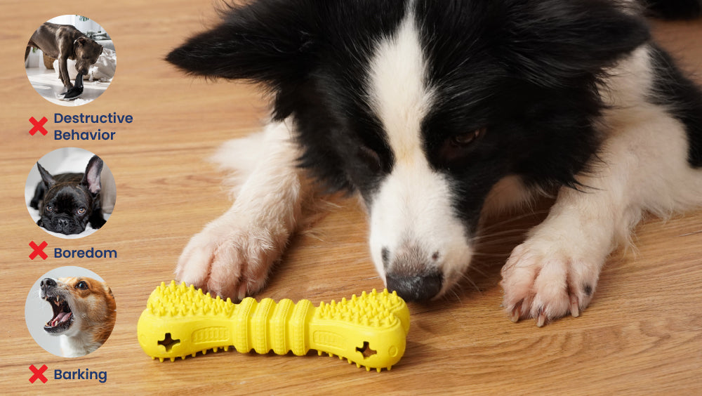 Dog playing with a yellow toy on a wooden floor, with icons and text indicating behaviors the toy helps prevent.