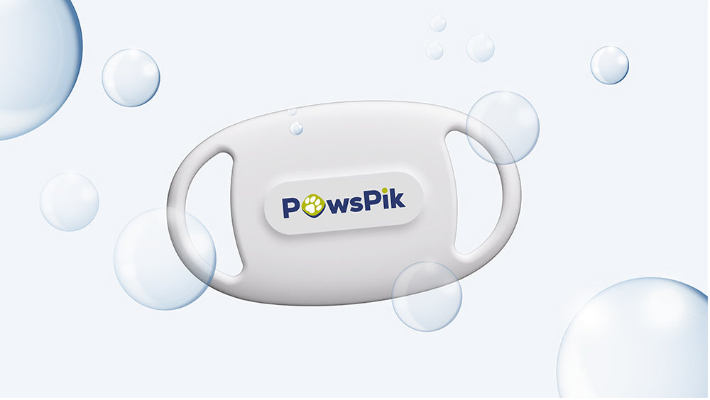 A white pet-friendly Microchip Pet Feeder Tag labelled "PawsPik" floats among bubbles on a light blue background, suggesting cleanliness and pet care.