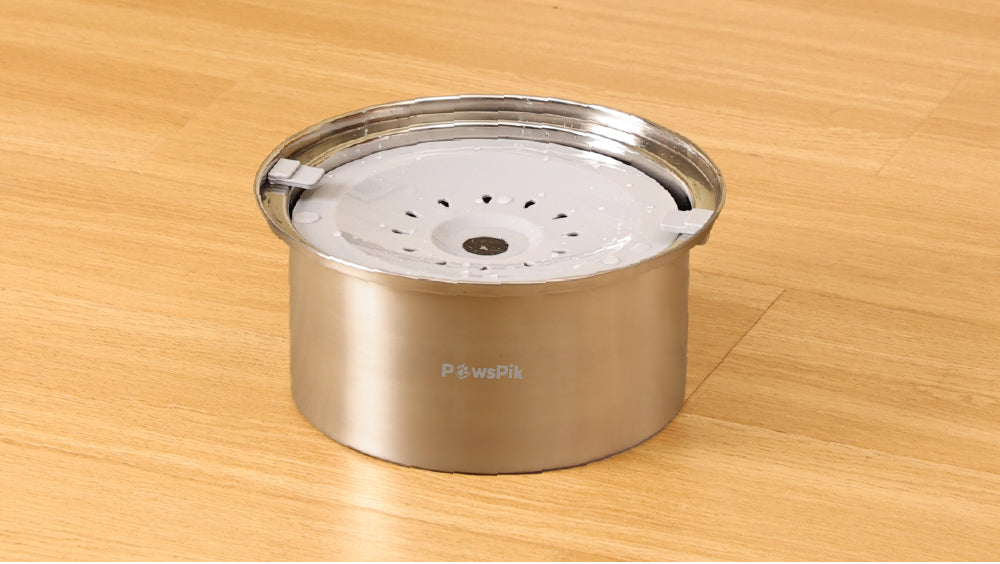Stainless steel dog bowl with a circular top and drainage holes, placed on a wooden floor.