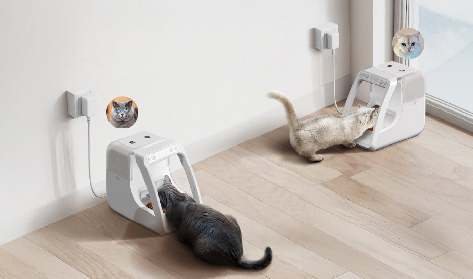 Two cats feeding from modern microchip pet feeders, with digital images of the cats above each pet feeder, set in a cozy indoor space.