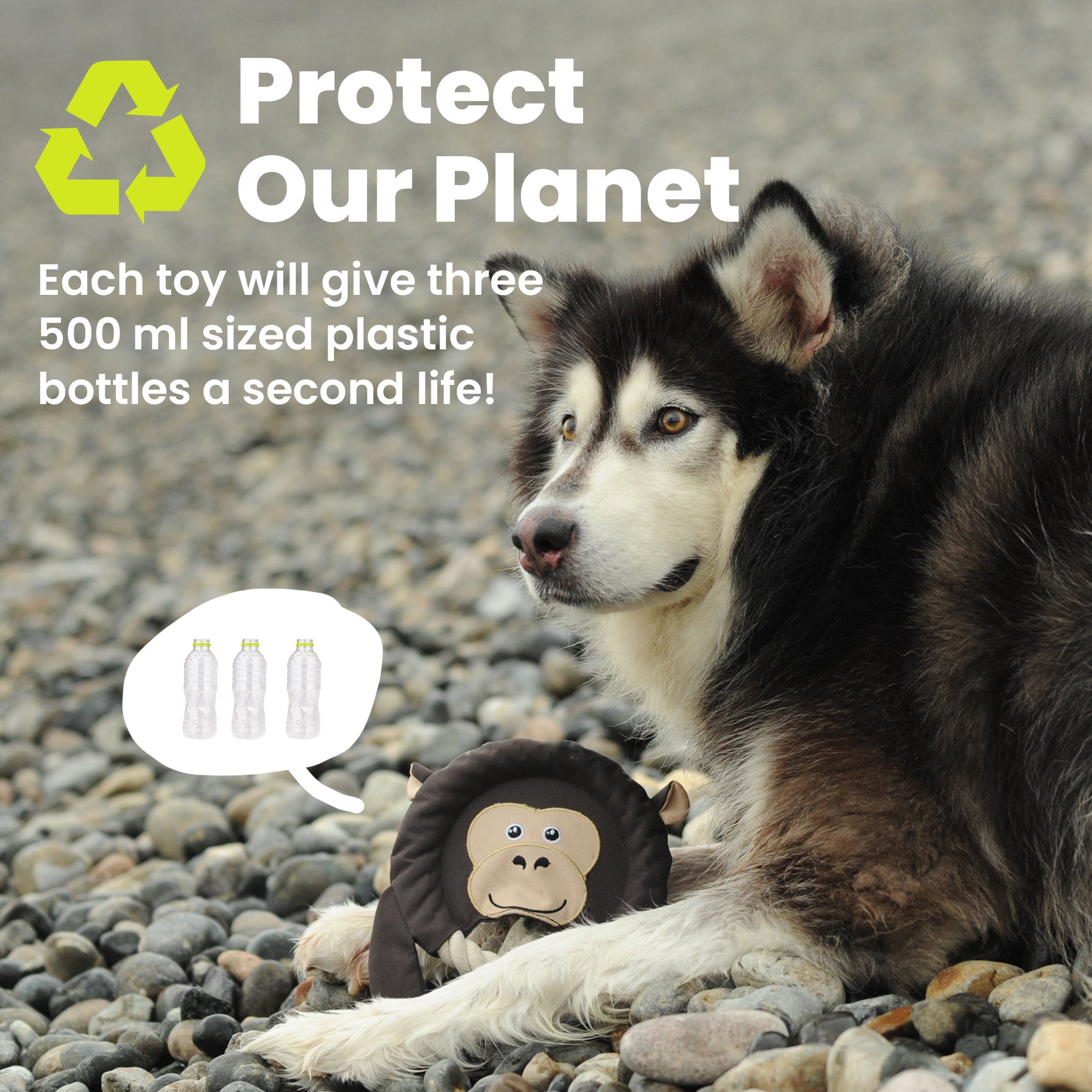 Dog with a PawsPik dog toy on pebbled ground with text: "Protect Our Planet" and details about recycling plastic bottles.