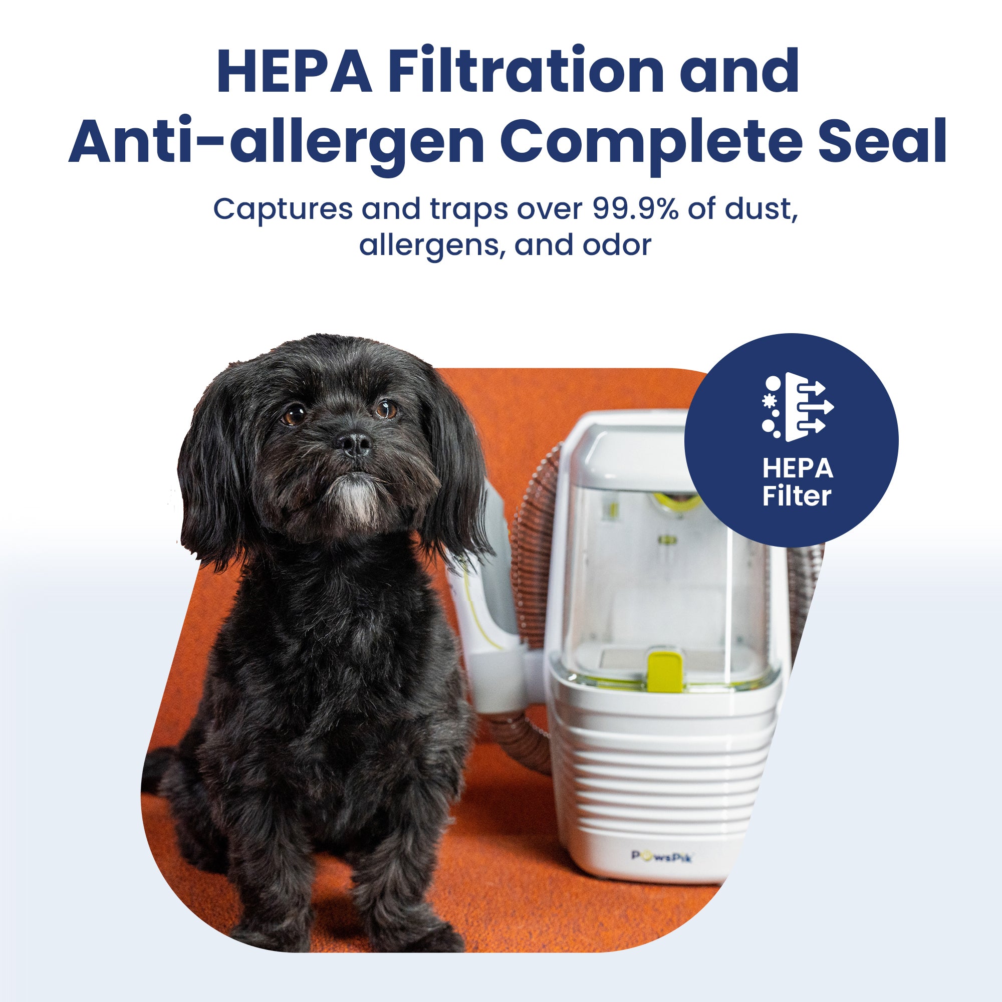 A black dog sits beside PawsPik Dog Grooming Kit on an orange background, promoting allergen removal and air cleaning efficiency.