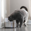 Load image into Gallery viewer, Image_20240914_222534_950.jpg__PID:d78c2157-66d5-4259-8aa1-657dfdc40f33