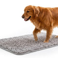 Load image into Gallery viewer, PawsPik® Super Absorbent Microfiber Dog Doormat, Gray