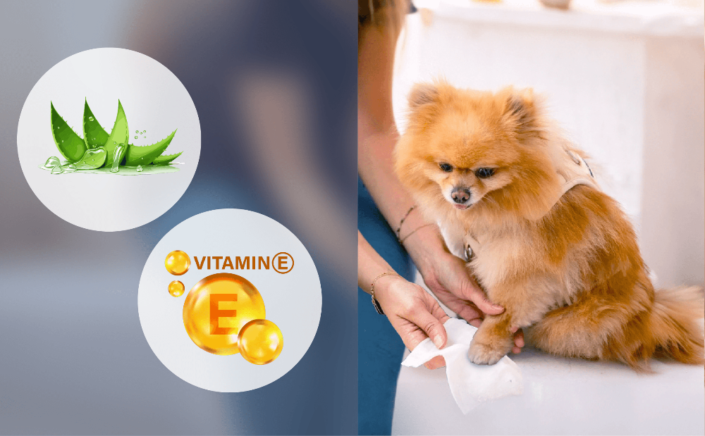 Graphic showing aloe vera and vitamin E alongside a dog being wiped with dog wipes by PawsPik.