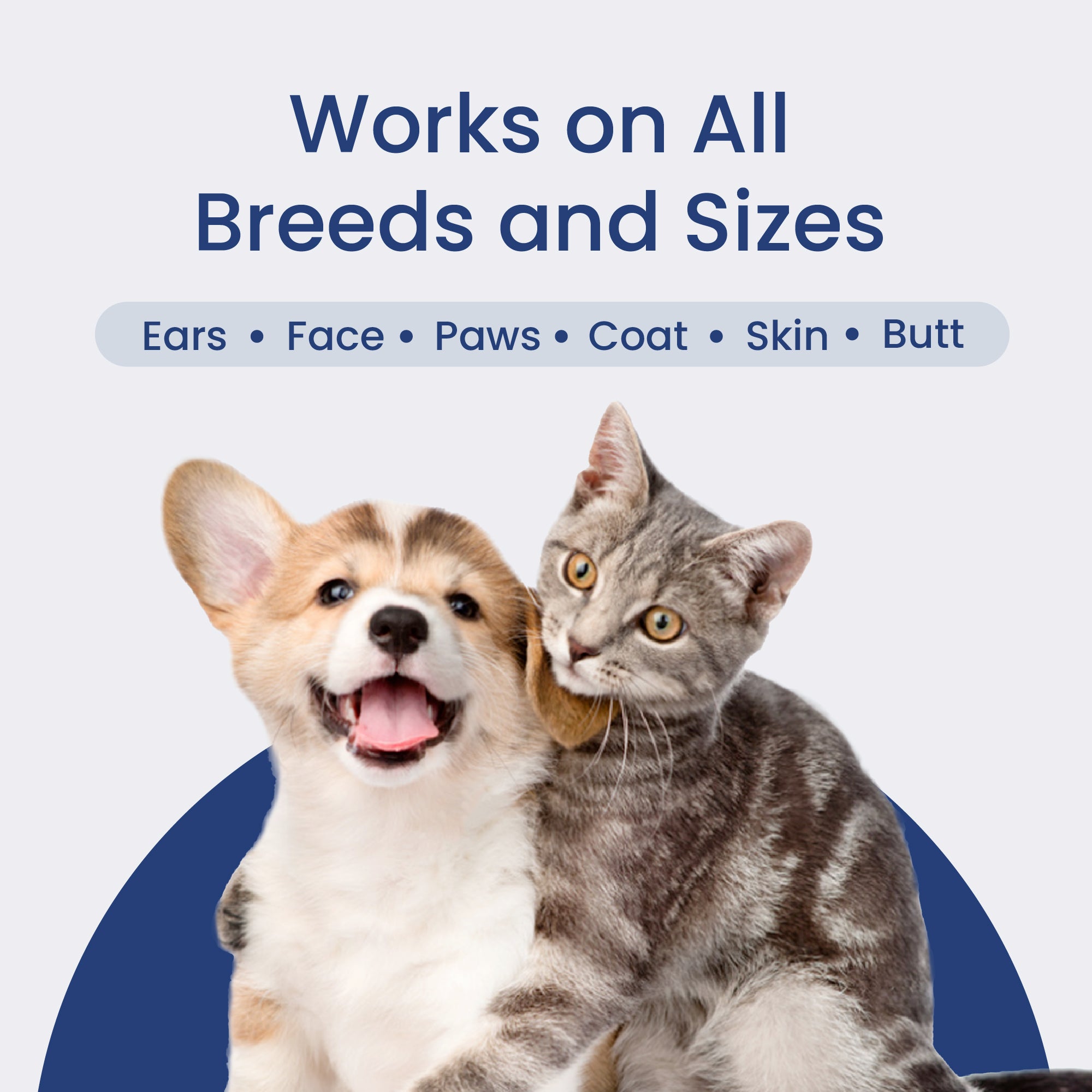 Advert with a smiling corgi and a grey tabby cat, promoting PawsPik Pet wipes suitable for pets of all breeds and sizes.