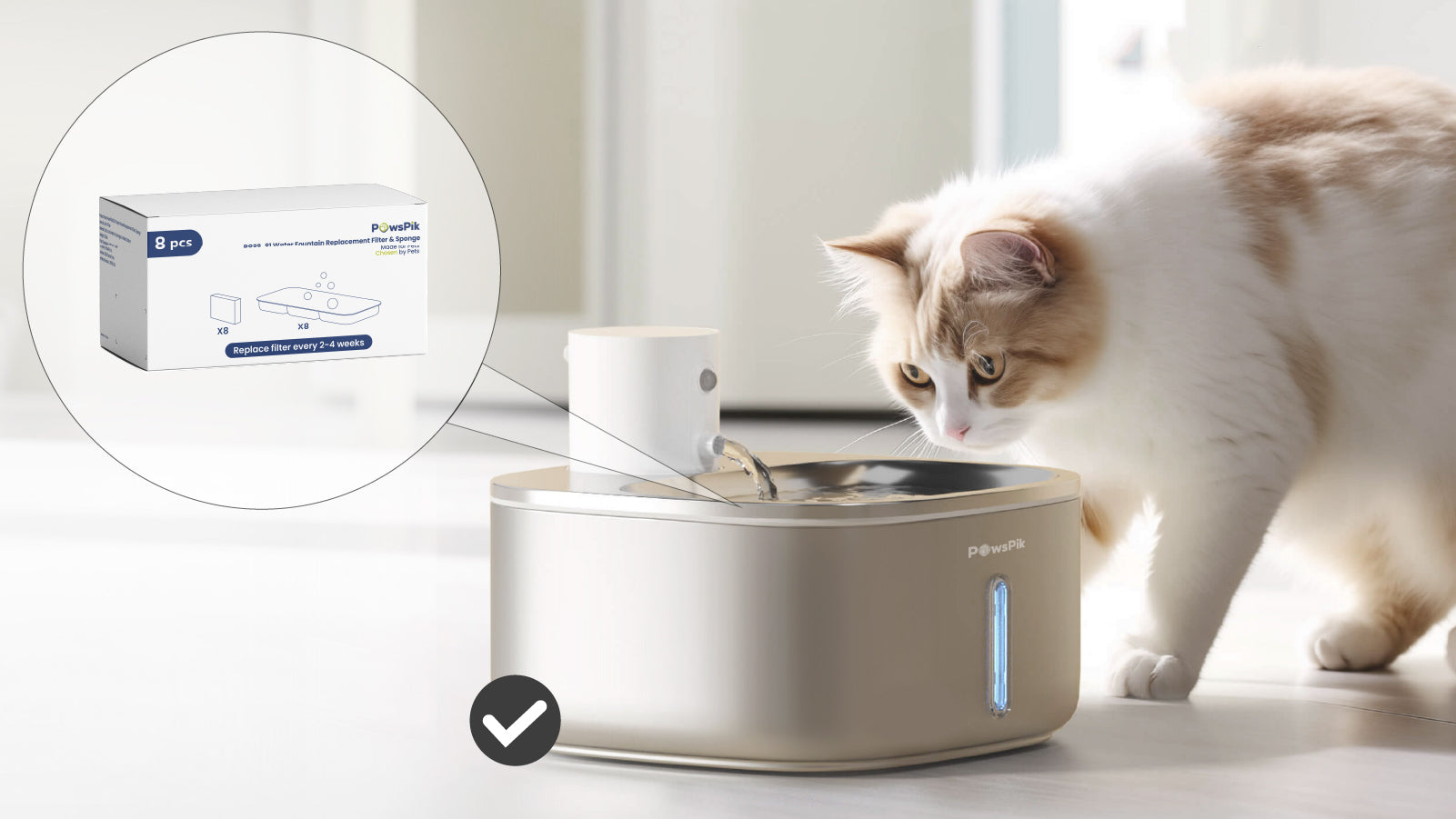 A fluffy cat curiously approaches a modern pet water fountain, with a box of replacement filters displayed nearby.