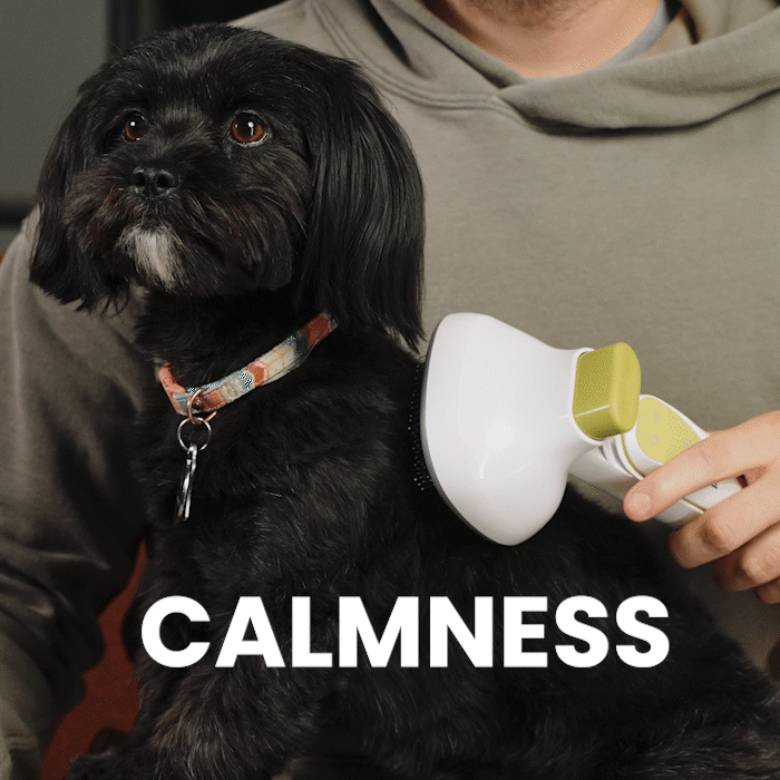 dog being groomed with the groomingpro rx pet vacuum