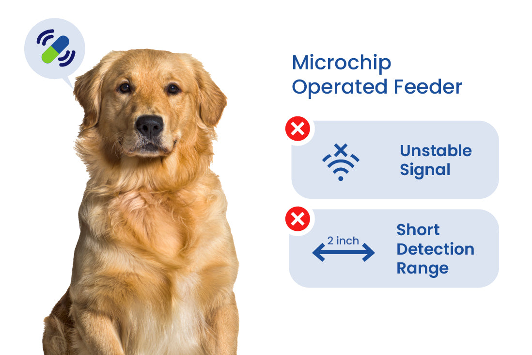 showcasing how microchip pet feeders have unstable signal and short detection range
