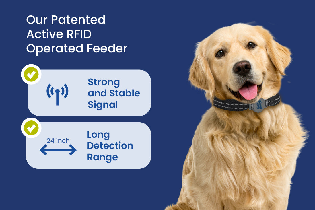 showcasing how RFID pet feeders have longer detection range and more reliable
