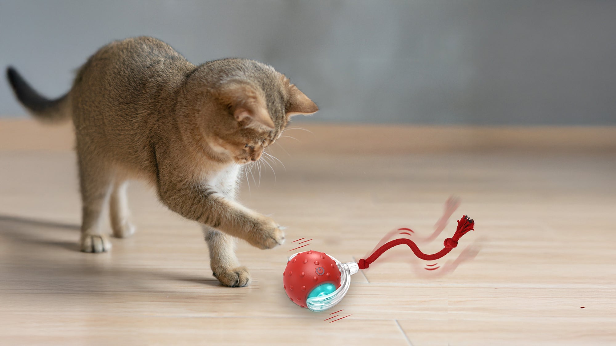 A playful cat swats at a red interactive cat toy with a moving rope on a wooden floor, showcasing its curiosity and energy.