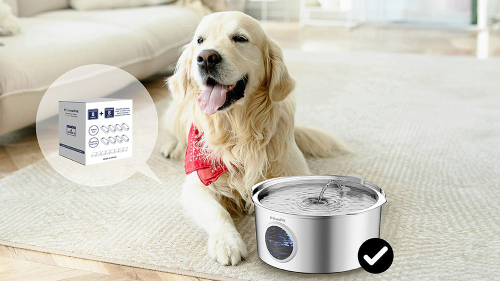 A happy golden retriever sits beside a stainless steel dog water fountain, showcasing its features and benefits with a product box nearby.