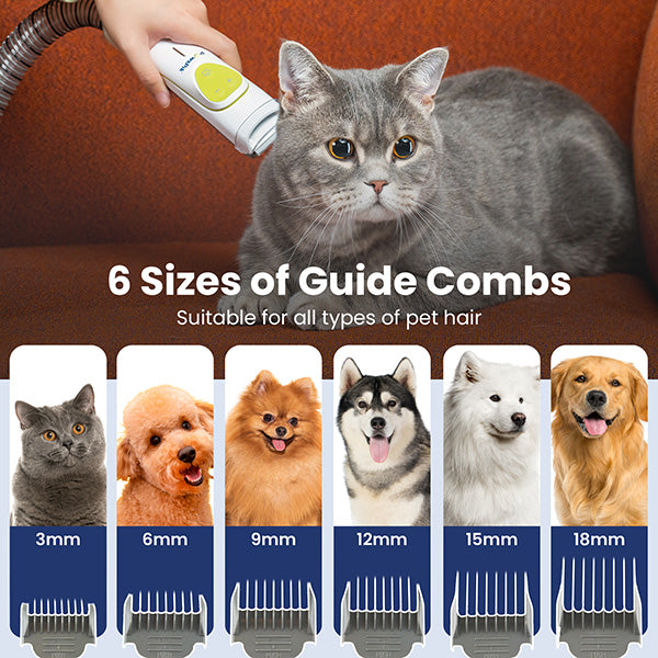 Graphic showing 6 dog grooming tools (combs) with various pet hair lengths, and a cat being groomed.