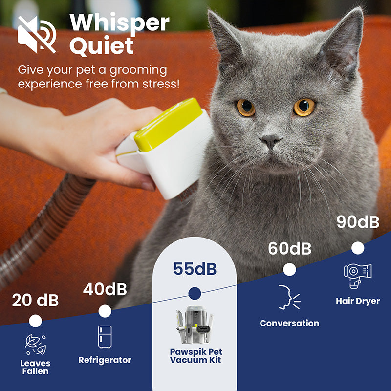 Graphic of the quiet PawsPik pet vacuum grooming kit, comparing its noise level with everyday sounds, next to a grey cat.