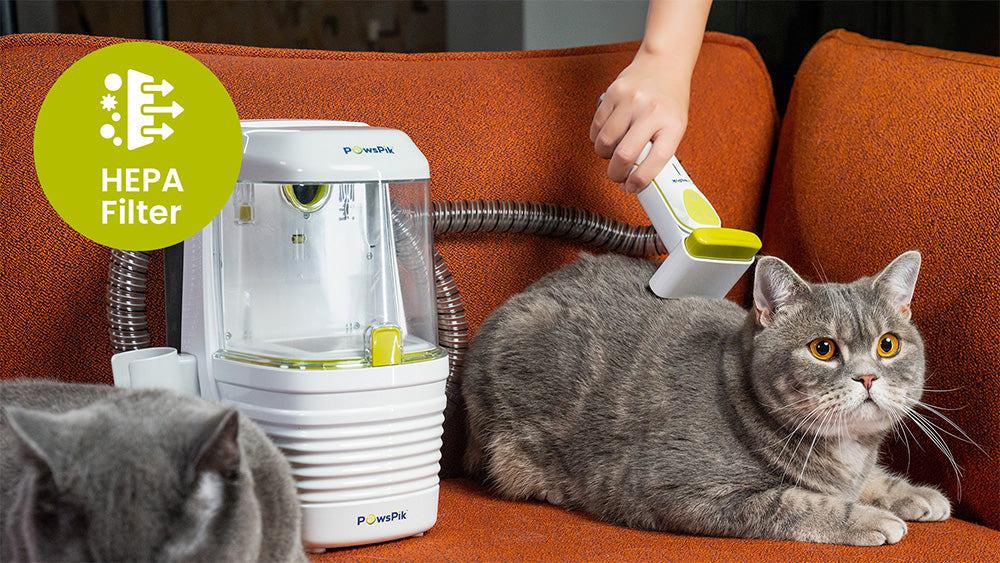 A person uses a pet grooming kit to groom two grey cats sitting on an orange couch, enhancing pet care and cleaning.