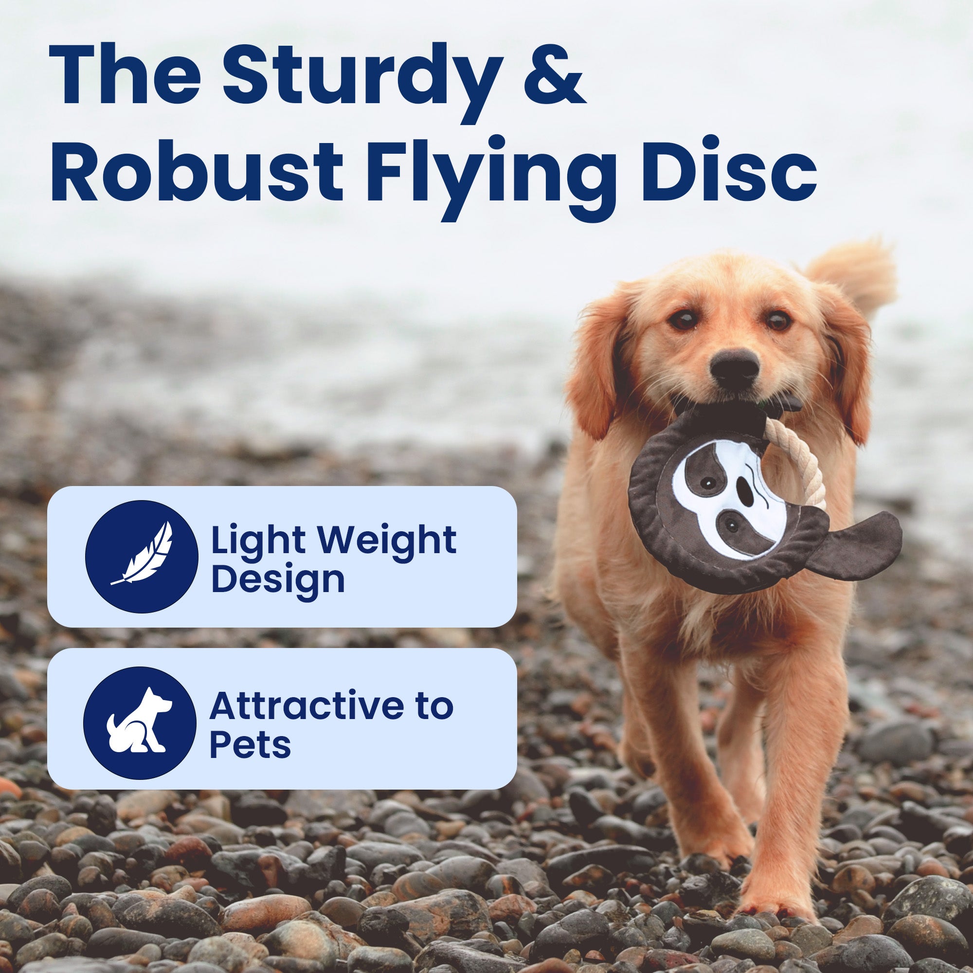 A dog on a pebbly shore with text "The Sturdy & Robust Flying Disc" and icons for lightweight design and pet appeal.
