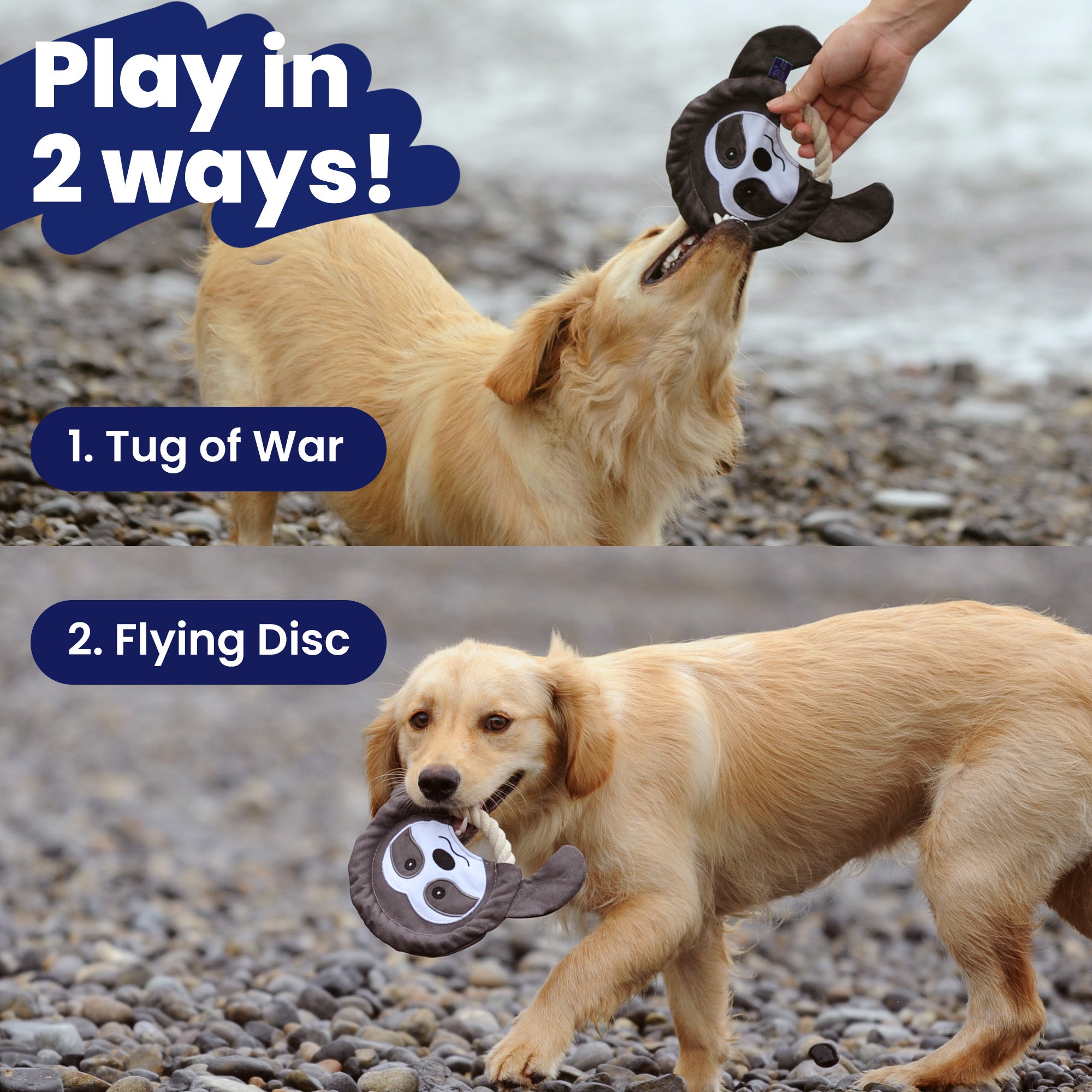 Golden retriever playing with a PawsPik dog toy, advertised for tug of war and as a flying disc.