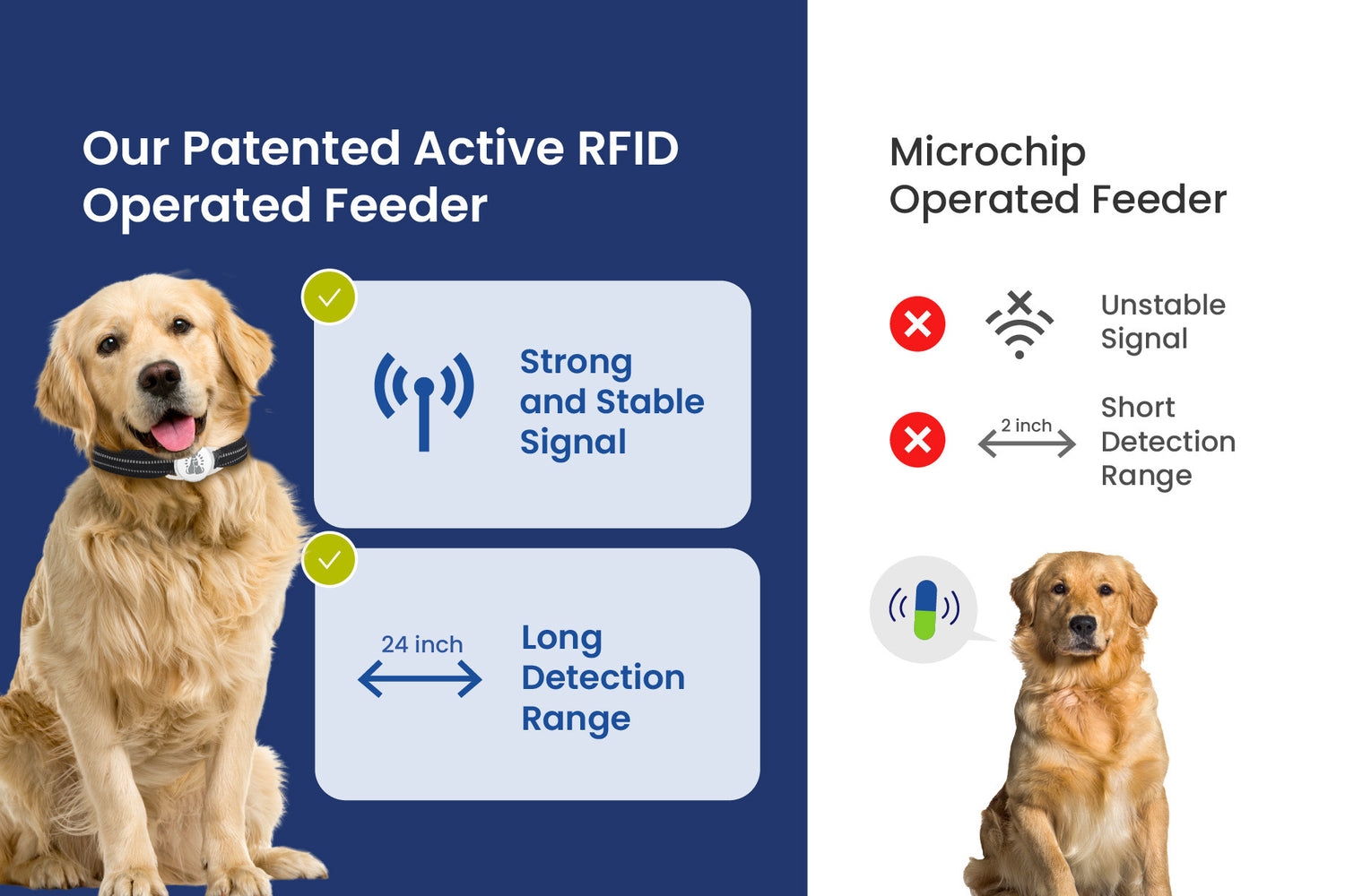 Graphic comparing active Pawspik RFID operated pet feeder with long range to a microchip pet feeder with
short range, beside two dogs.