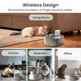 Load image into Gallery viewer, Graphic featuring various cats using auto pet water dispenser in different rooms: living room, kitchen,
bedroom, and office.