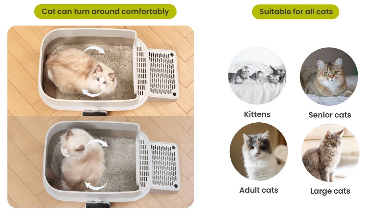 Graphic for a large cat litter box, demonstrating comfort for cats of all ages and sizes.