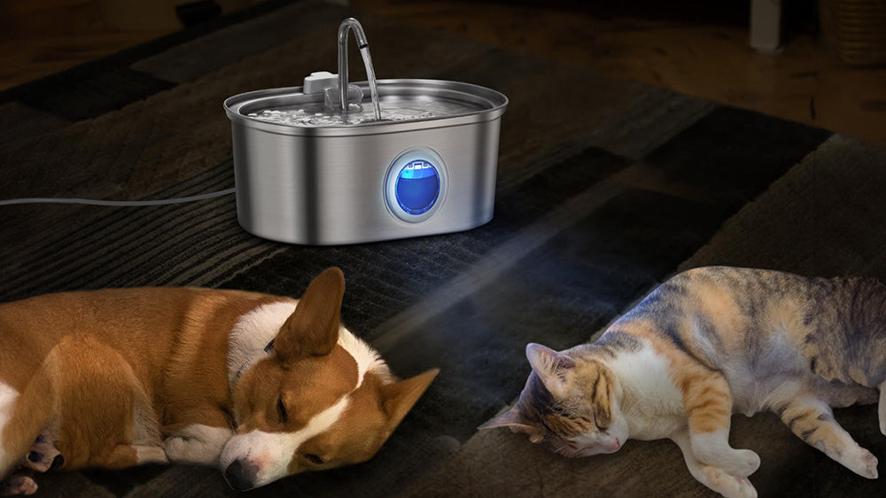 Dog and cat asleep beside the PawsPik pet water fountain on a rug.