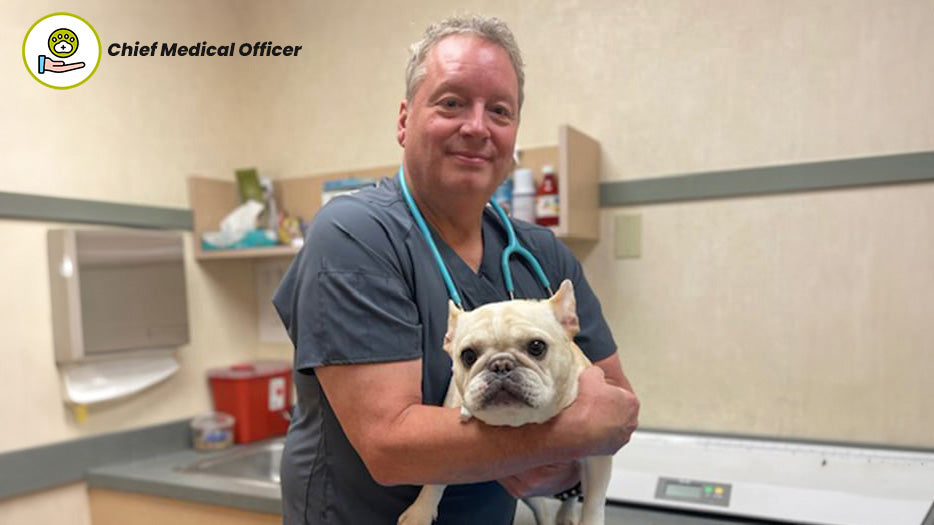 A Chief Medical Officer holds a small white French Bulldog in a veterinary clinic. Medical supplies are visible in the background.