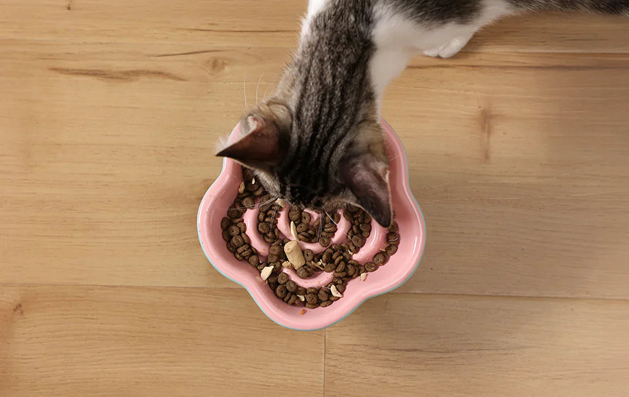 How High Should My Pet Food Bowl Be?