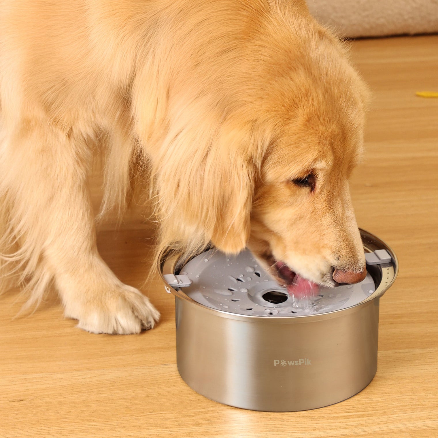 The Best Pet Water Fountain: Keeping Your Pets Happy, Healthy, and Hydrated