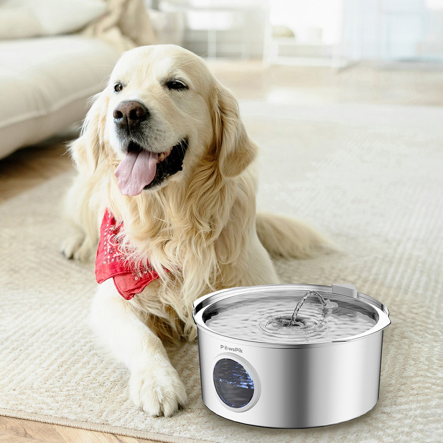 Dog Water Fountain vs. Traditional Bowl: Which Wins the Hydration Battle?