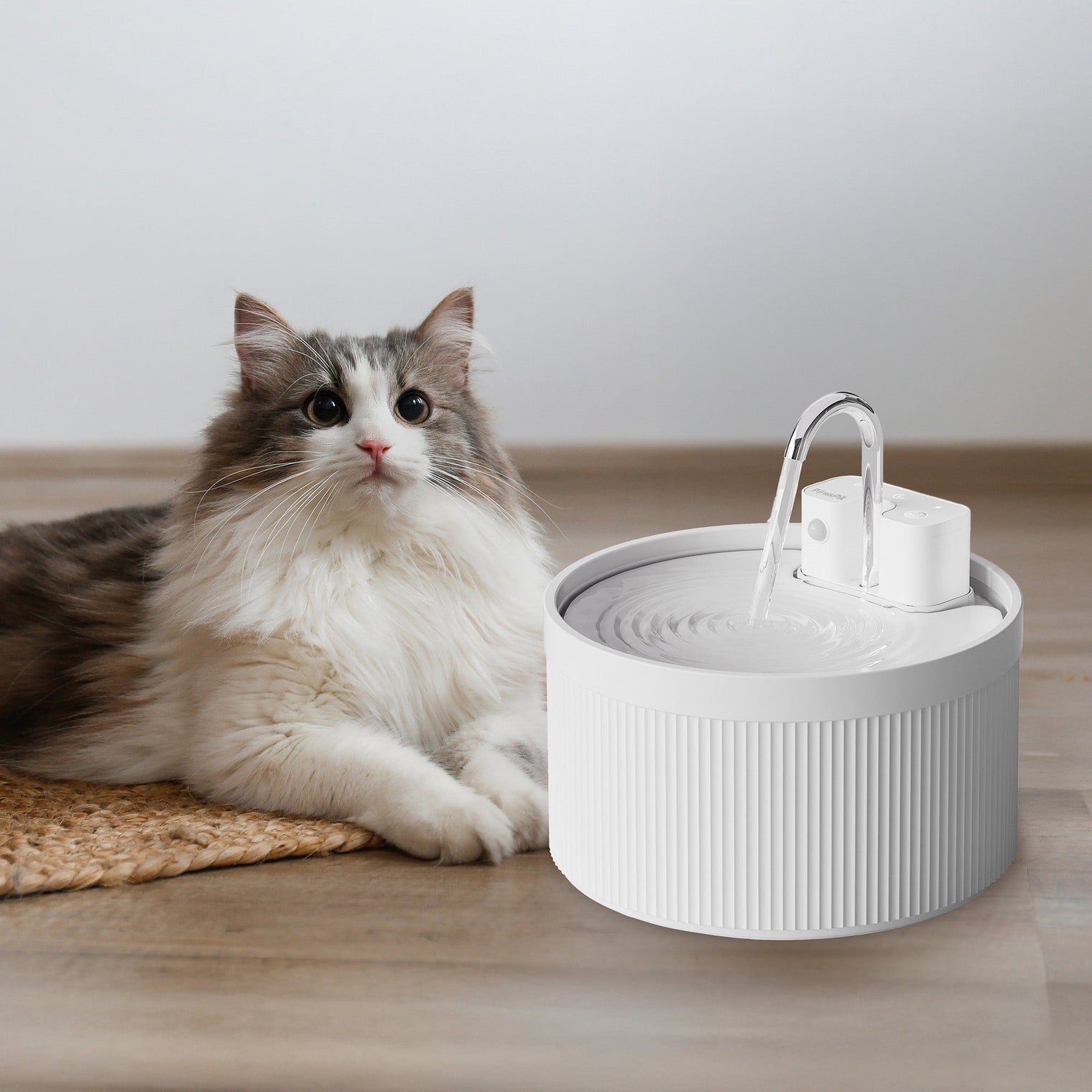 Are There Any Battery Operated Pet Water Fountains?