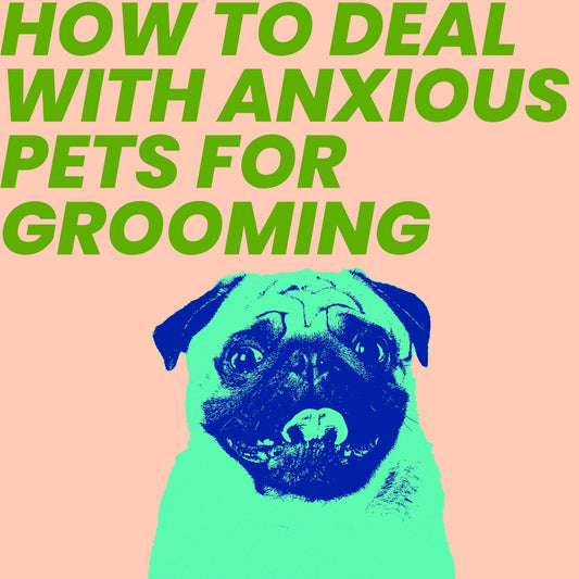 How to Deal With Anxious Pets for Grooming