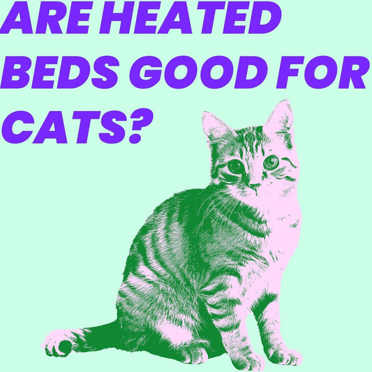 Are Heated Beds Good for Cats?