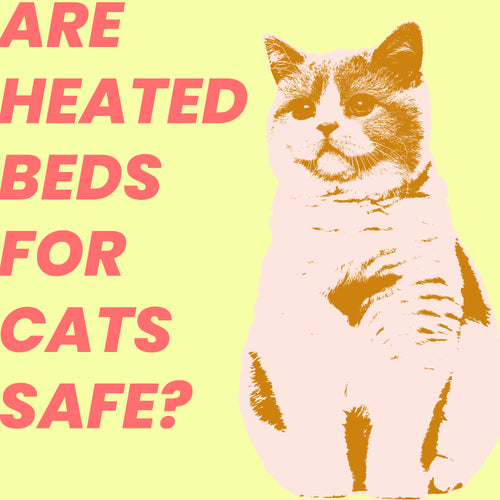 Are Heated Beds for Cats Safe?