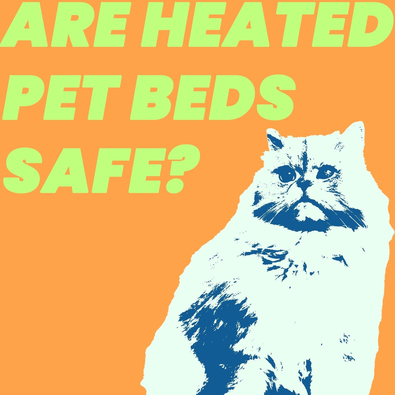 Are Heated Pet Beds Safe?