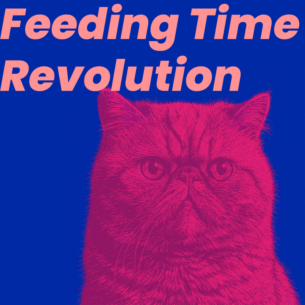 Feeding Time Revolution: The Rise of Smart Microchip Pet Feeders