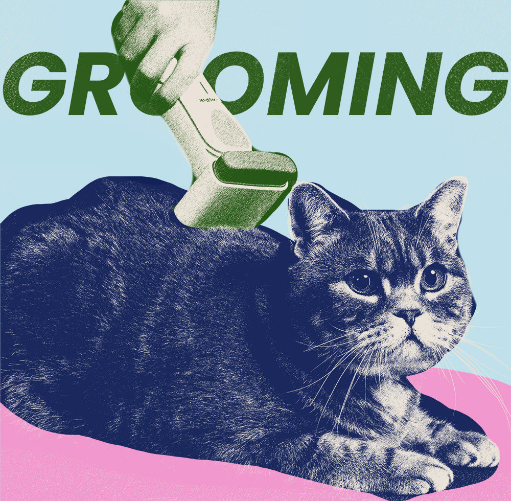 The Importance of Dog Grooming and Cat Grooming