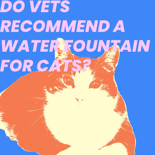 Do Vets Recommend a Water Fountain for Cats?