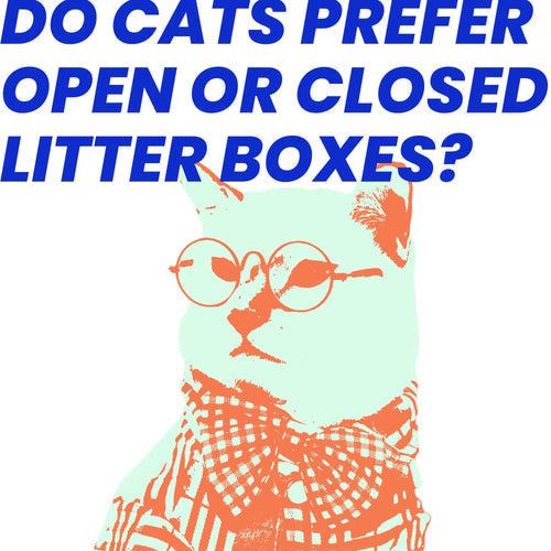 Do cats prefer open or closed litter boxes?
