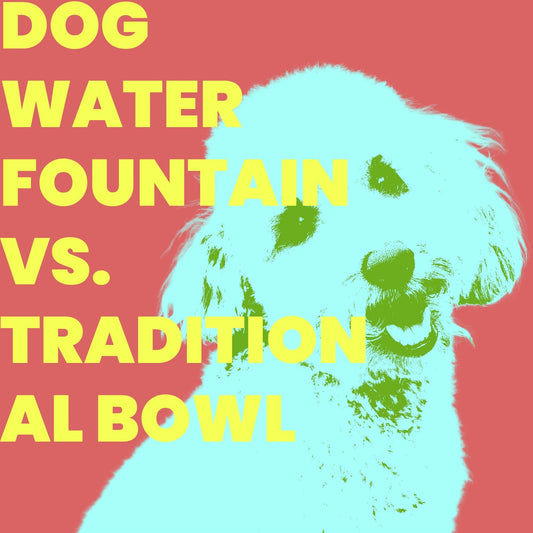 Dog Water Fountain vs. Traditional Bowl: Which Wins the Hydration Battle?